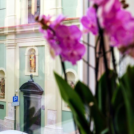 Cracwow St. Thomas Apartment Krakau Exterior foto